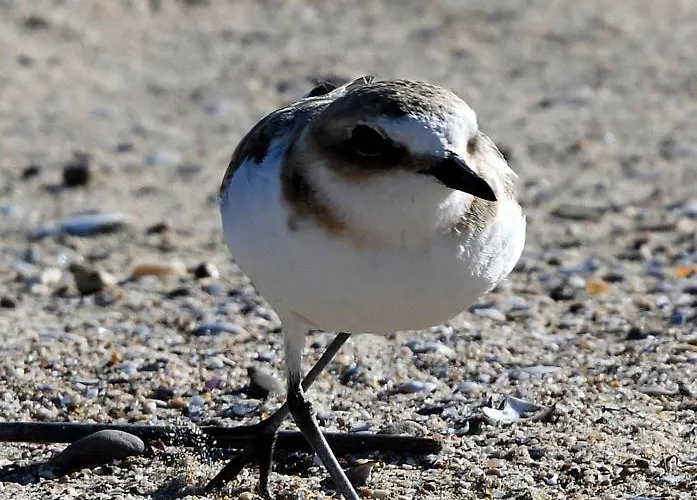 Centro 1-2-3 Apartment *